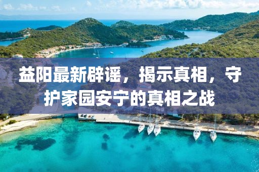 益阳最新辟谣，揭示真相，守护家园安宁的真相之战