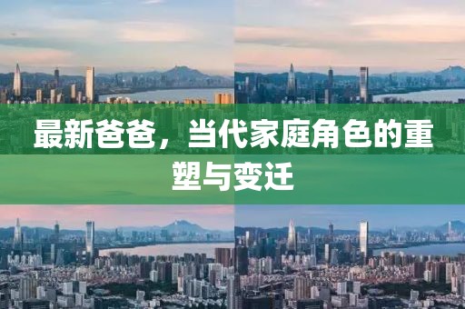 最新爸爸，当代家庭角色的重塑与变迁