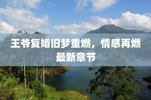 王爷复婚旧梦重燃，情感再燃最新章节