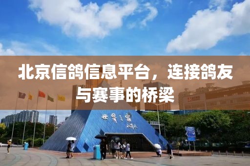 北京信鸽信息平台，连接鸽友与赛事的桥梁
