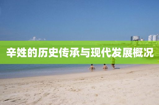 辛姓的历史传承与现代发展概况