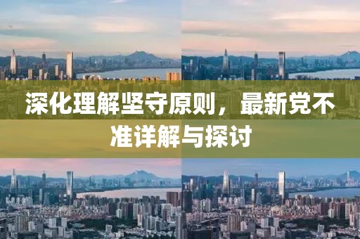 深化理解坚守原则，最新党不准详解与探讨