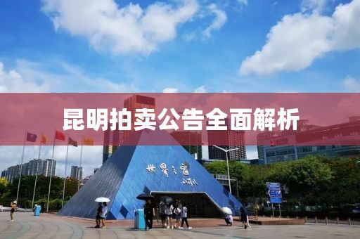 昆明拍卖公告全面解析