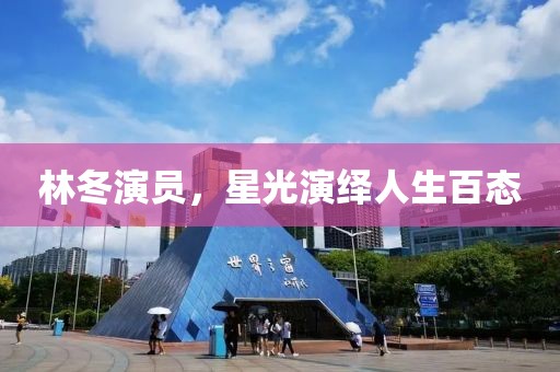 林冬演员，星光演绎人生百态