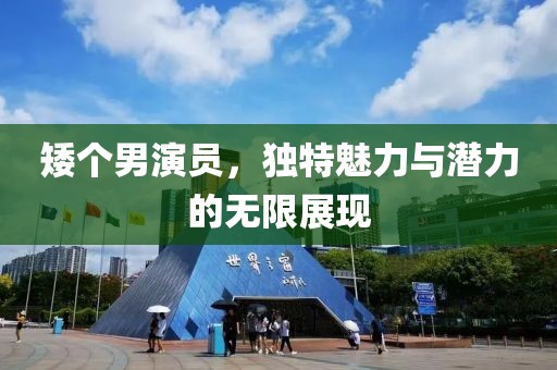 矮个男演员，独特魅力与潜力的无限展现