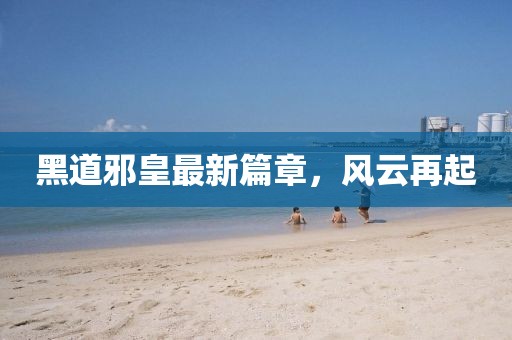 黑道邪皇最新篇章，风云再起