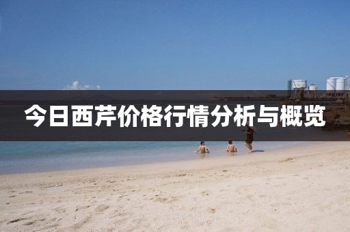奶茶 第29页