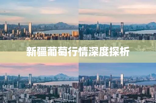 新疆葡萄行情深度探析