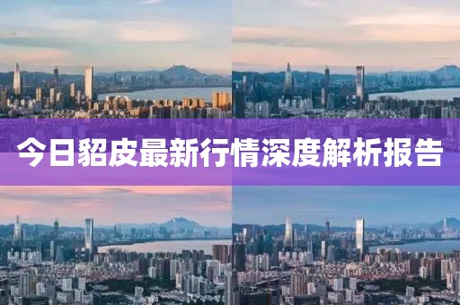 今日貂皮最新行情深度解析报告