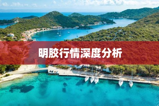 明胶行情深度分析