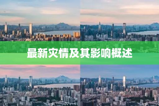 最新灾情及其影响概述
