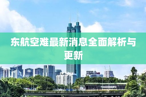 东航空难最新消息全面解析与更新