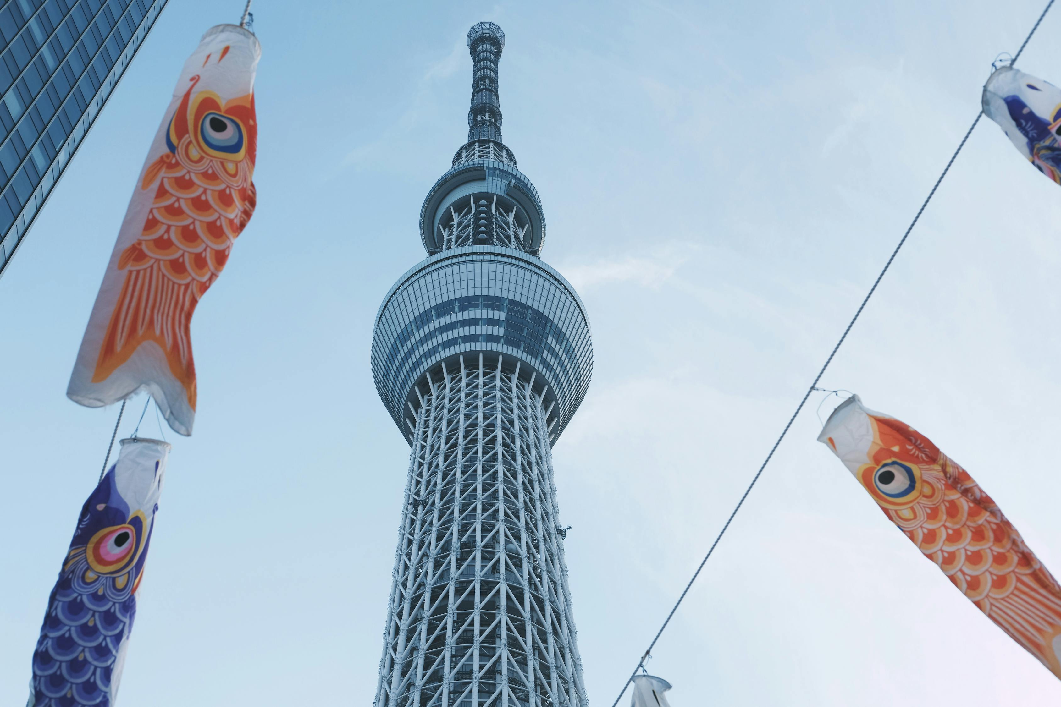 中日资讯速递，跨越文化与技术的交流桥梁