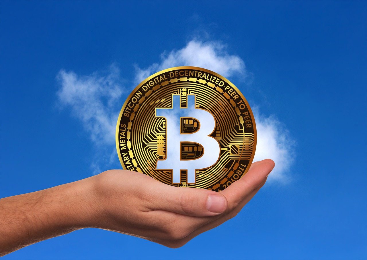 猪肉最新价格走势图及分析，影响因素与趋势探讨