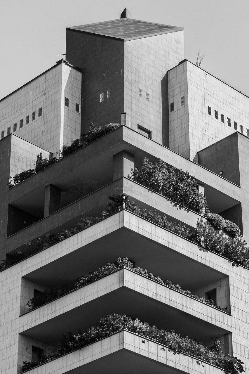 农业路高架桥建设进展、最新动态与未来展望