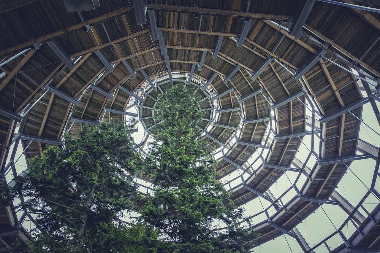 天仪最新动态，引领科技创新，开启空间探索新纪元