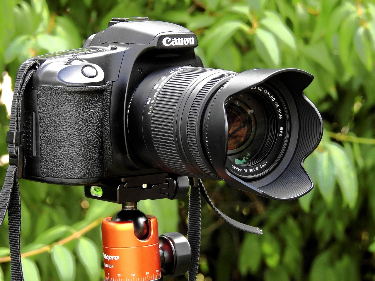 EOS 5D系列相机价格全面探析