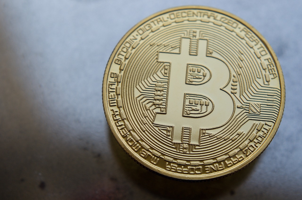 石金钱龟价格行情解析与趋势分析