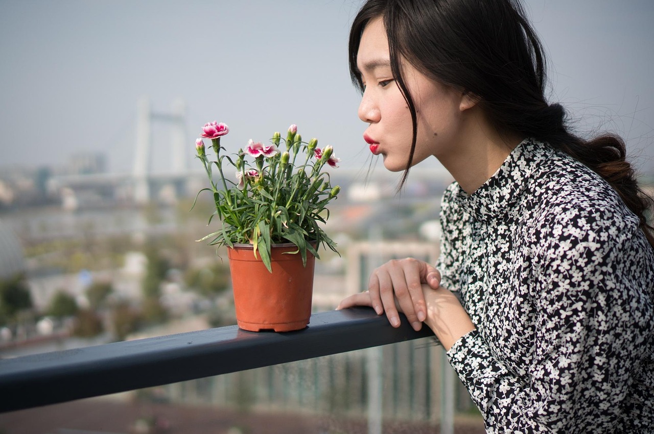 穿成十八线过气女演员的重生之旅