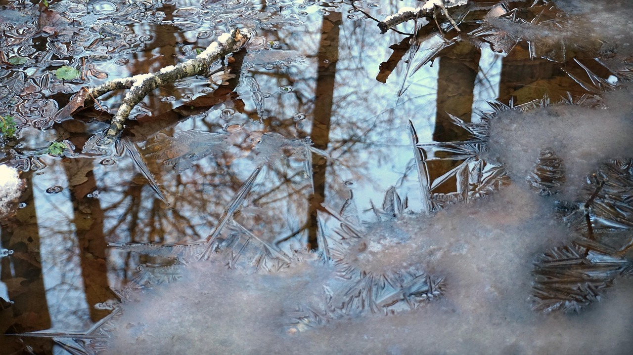 蜜糖 第7页