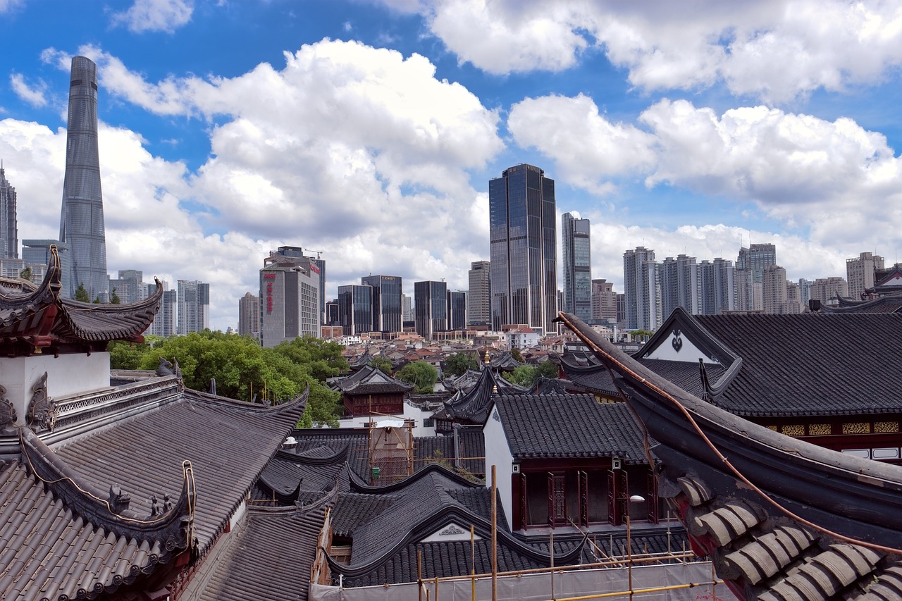 上海打击违法活动最新动态观察报告，迈向2025年的进展与未来展望