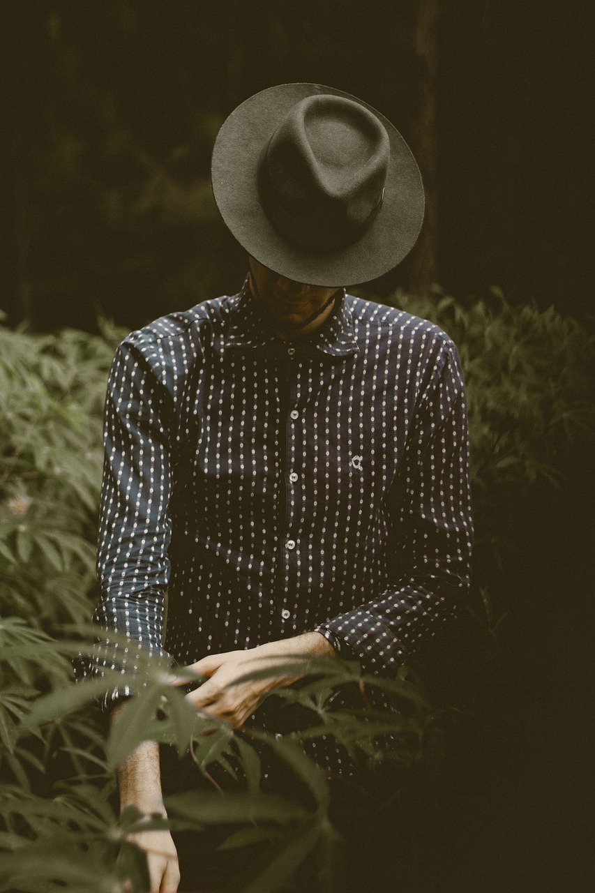 梦境探寻，男明星的星光与情感的投射