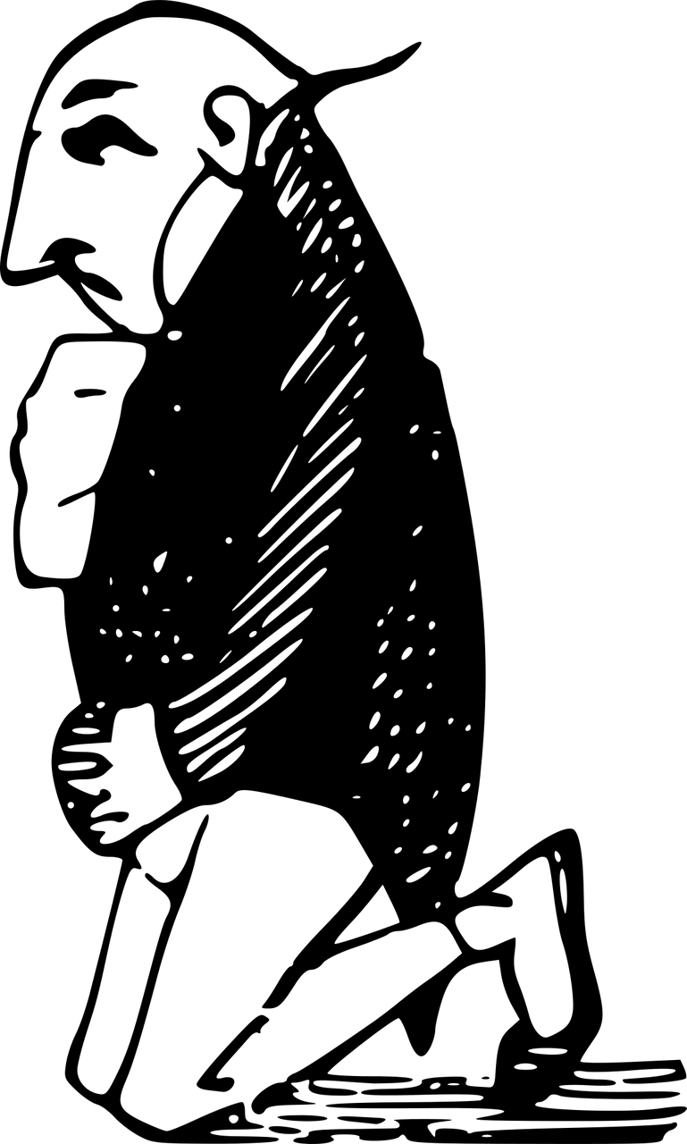 今日动漫搞基视频，深度探索与赏析