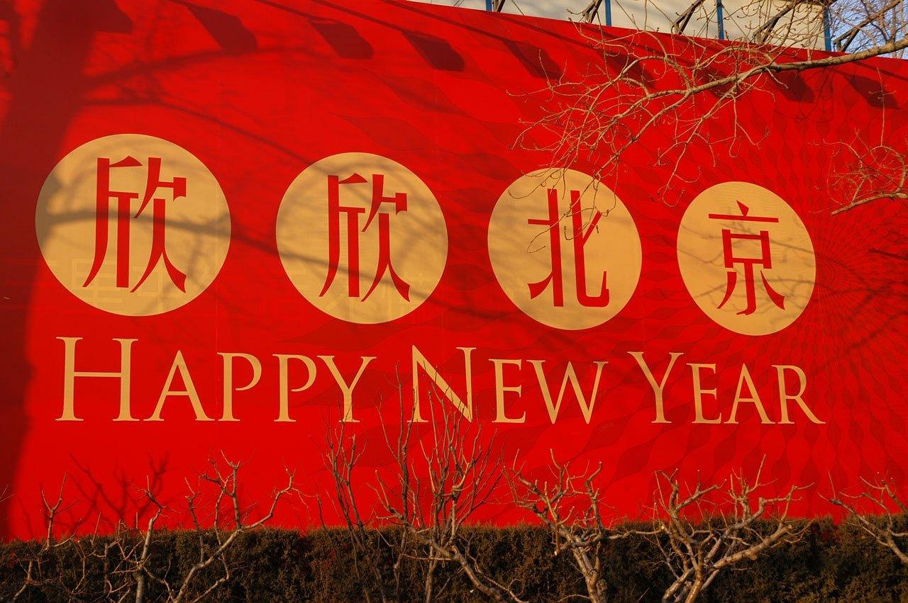 五月小学生朗读比赛，展现语言魅力的精彩舞台