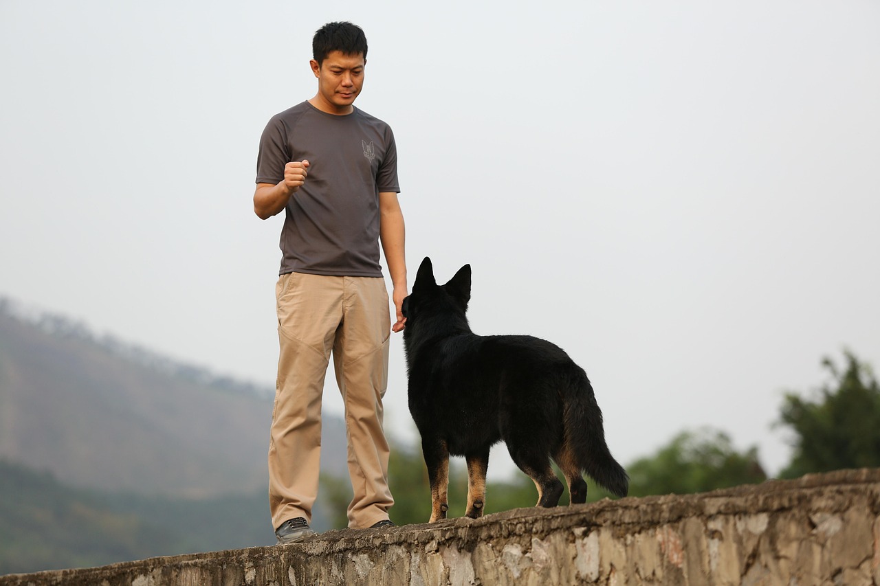 五月狗语者新篇，人与犬的和谐共鸣之道